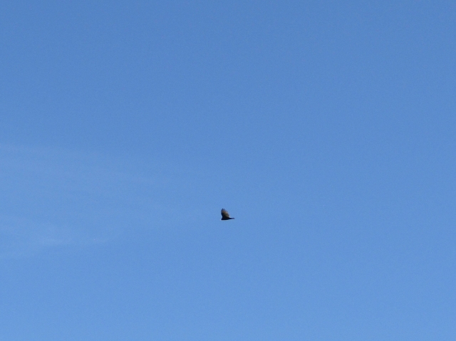 fall08.jpg
