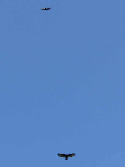 fall09.jpg