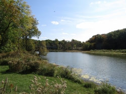 fall01.jpg