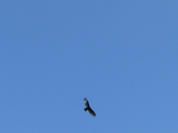 fall07.jpg
