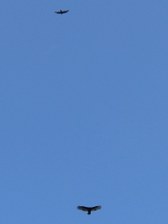 fall09.jpg