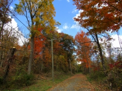 fall30.jpg