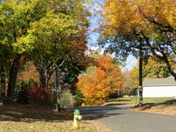 fall33.jpg