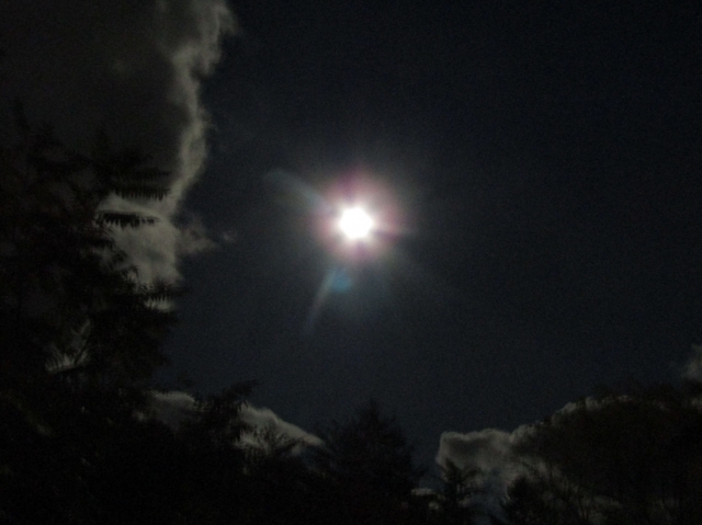 octmoon01.jpg