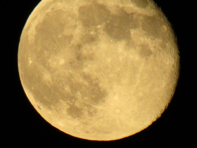 octmoon14.jpg