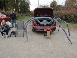 trunk1.jpg