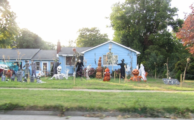 buffalo01.jpg