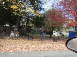 dorman04.jpg