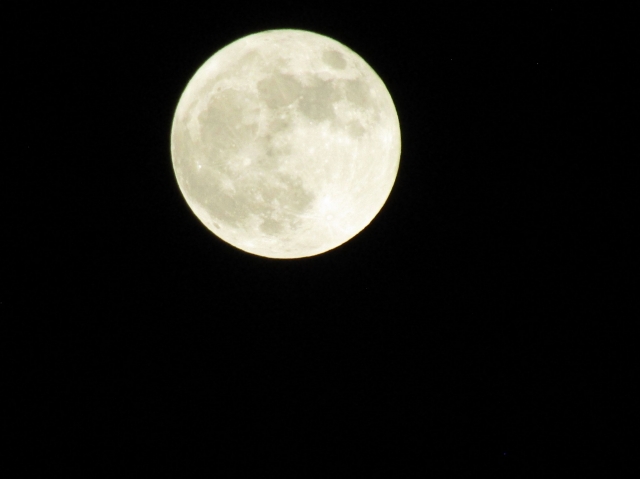 aprilmoon01.jpg