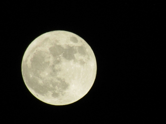 aprilmoon02.jpg