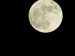 aprilmoon04.jpg