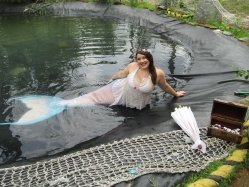 perf211004.jpg