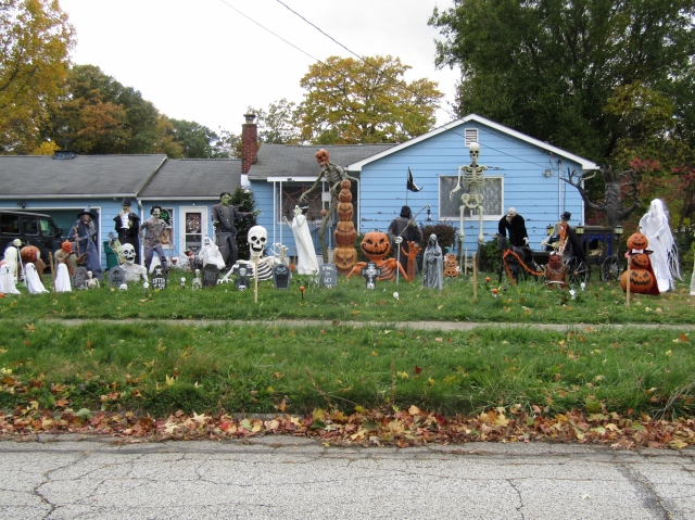 buffalo05.jpg