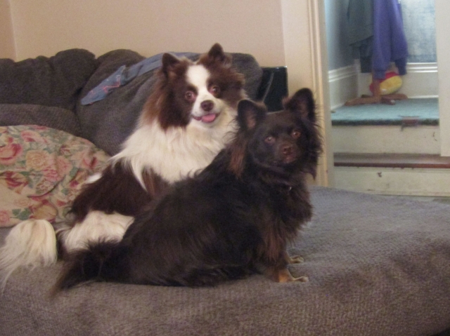 doubletrouble.jpg
