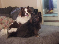 doubletrouble.jpg