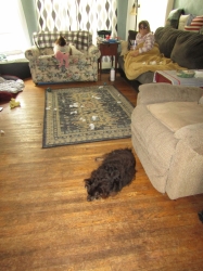 junepups4.jpg