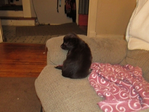 buddy021.jpg