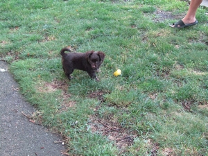 buddy041.jpg