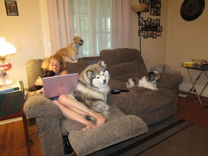 junepups101.jpg