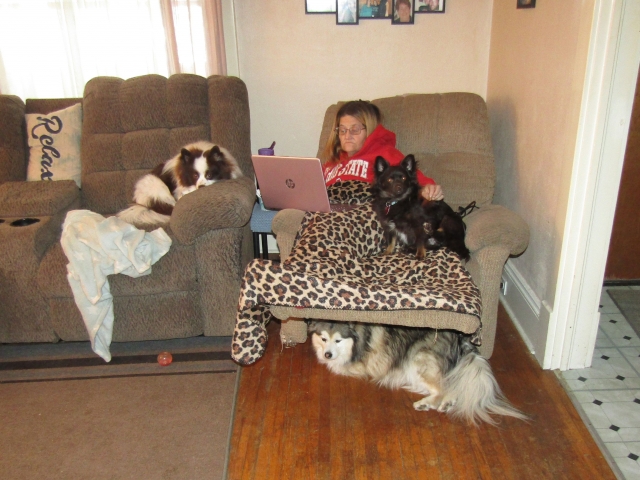 all4.jpg