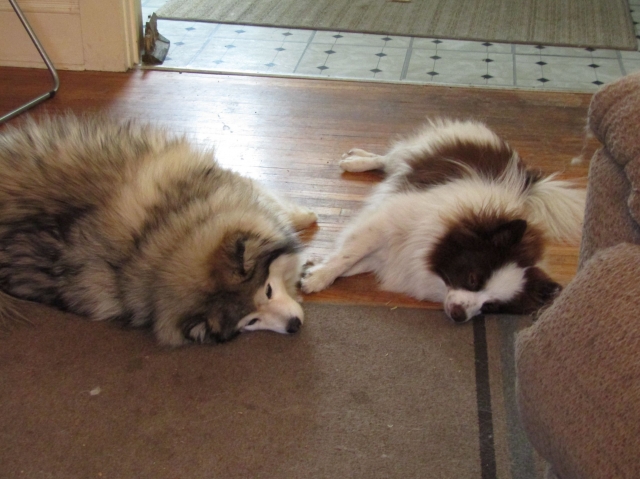 brothers.jpg