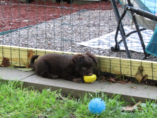 buddy06.jpg