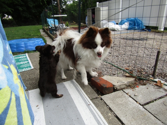 buddy206.jpg
