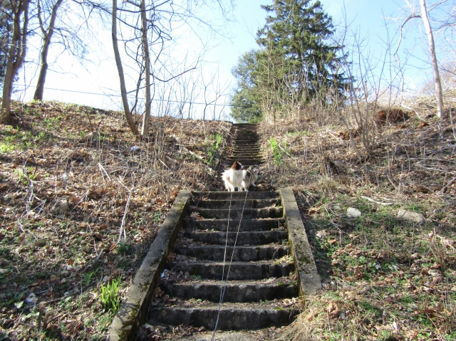 pupsmarch09.jpg