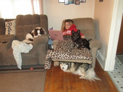 all4.jpg