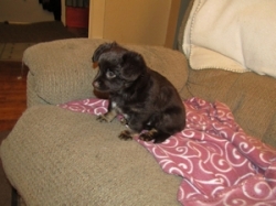 buddy031.jpg