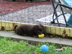buddy061.jpg