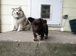buddy201.jpg