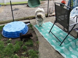 buddy205.jpg