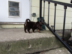 buddy207.jpg