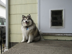 buddy209.jpg