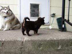 buddy210.jpg