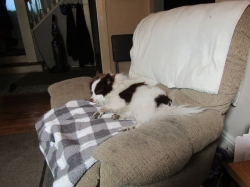 sleepypups06.jpg