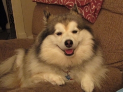 ted.jpg