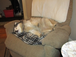 tedsleep.jpg