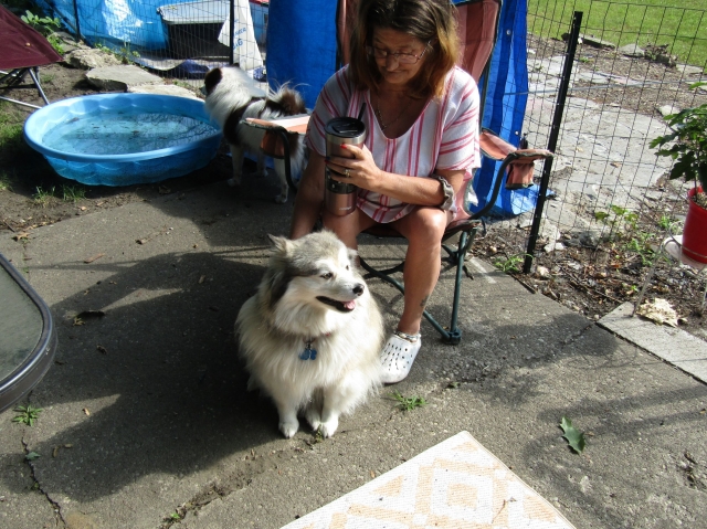 openingdaypups1.jpg
