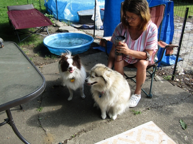 openingdaypups3.jpg