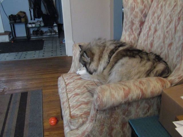 tobby05.jpg