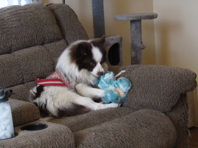 tobby06.jpg