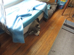 tobby04.jpg
