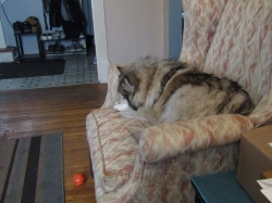 tobby05.jpg