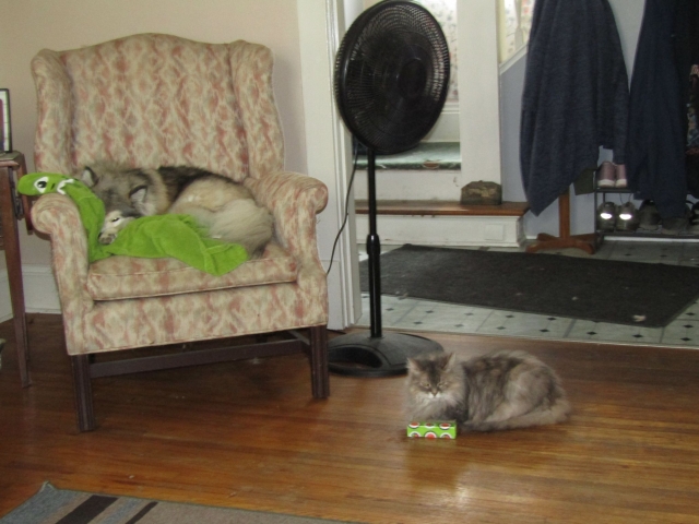 lazy62203.jpg