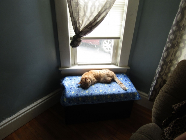 lazy62204.jpg