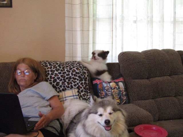 puppyjul05.jpg