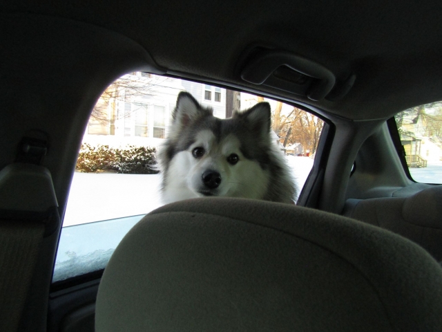 snowtrip00.jpg