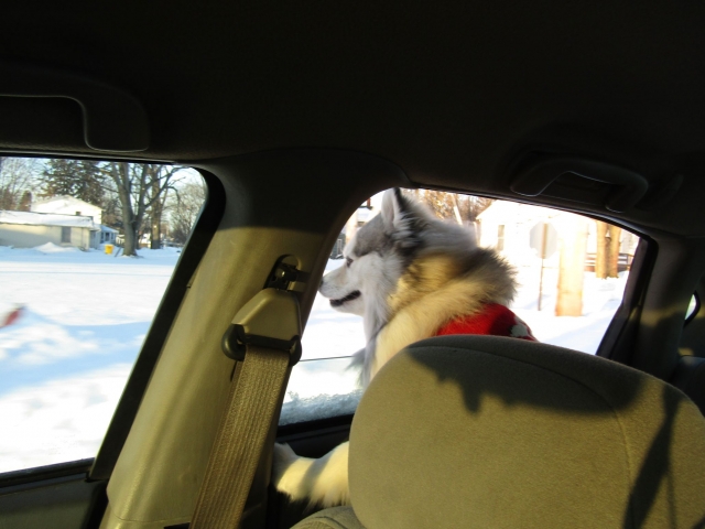 snowtrip05.jpg